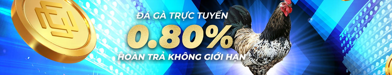 xemdaga.app Hoàn Trả 0.80% Không Giới Hạn Mỗi ngày tại Đá Gà